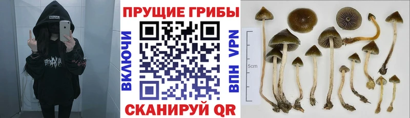 Галлюциногенные грибы мицелий Пыть-Ях